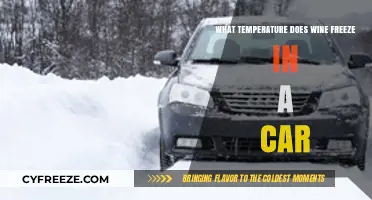 Wine Freeze Point: Car Temperature Risks and Storage Tips