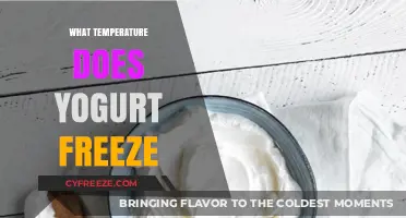 At What Temperature Does Yogurt Freeze? A Complete Guide