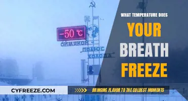 When Does Breath Freeze? Exploring the Chilling Temperature Threshold