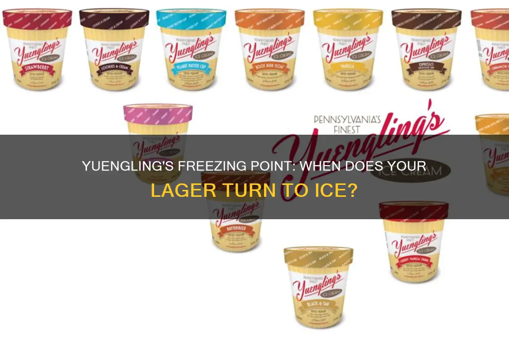 what temperature does yuengling freeze