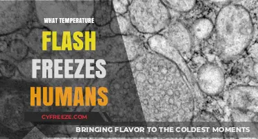 Flash Freezing Humans: The Chilling Temperature Threshold Explained