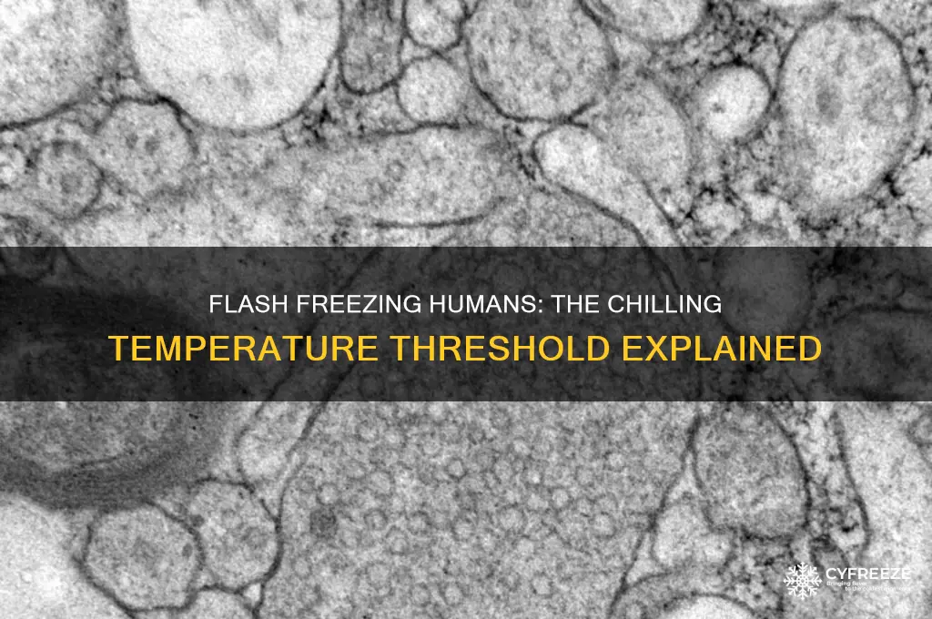 what temperature flash freezes humans