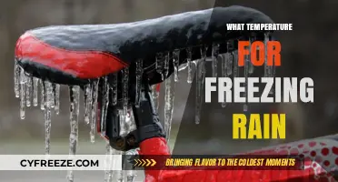 Understanding Freezing Rain: Optimal Temperature Conditions Explained