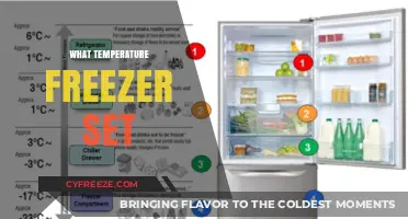 Optimal Freezer Temperature: A Guide to Perfect Food Preservation