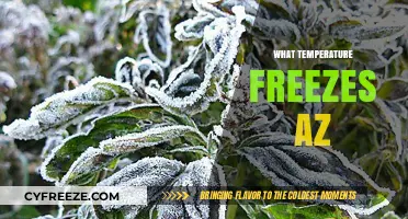 Arizona's Freezing Point: Understanding When Temperatures Drop Below Zero