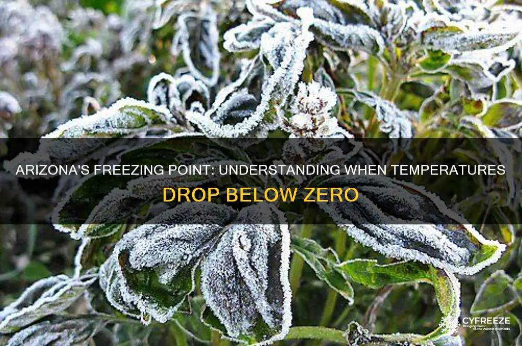 what temperature freezes az
