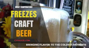 Craft Beer Freezing Point: Ideal Temperature to Preserve Your Brew