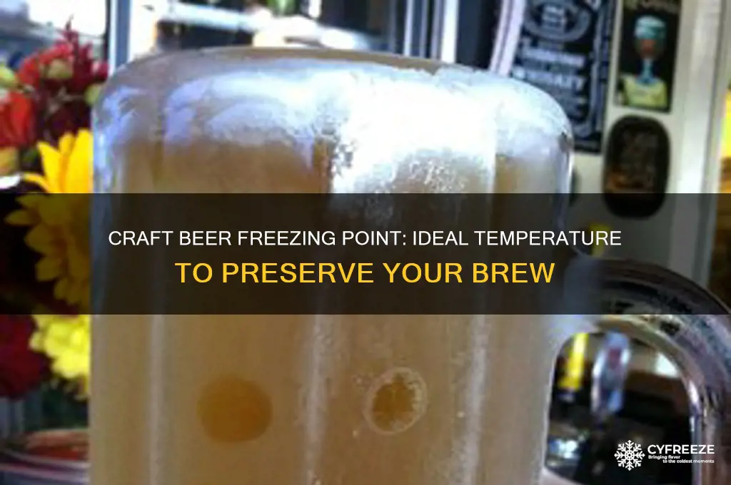 what temperature freezes craft beer