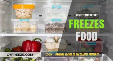 Optimal Freezing Temperatures to Preserve Food Freshness and Safety