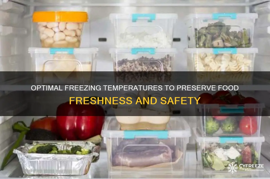 what temperature freezes food