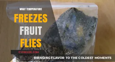 Chilling Fruit Flies: Discovering the Freezing Temperature Threshold