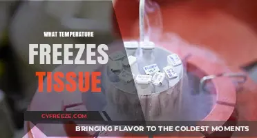 Understanding Tissue Freezing: Critical Temperatures and Biological Impacts