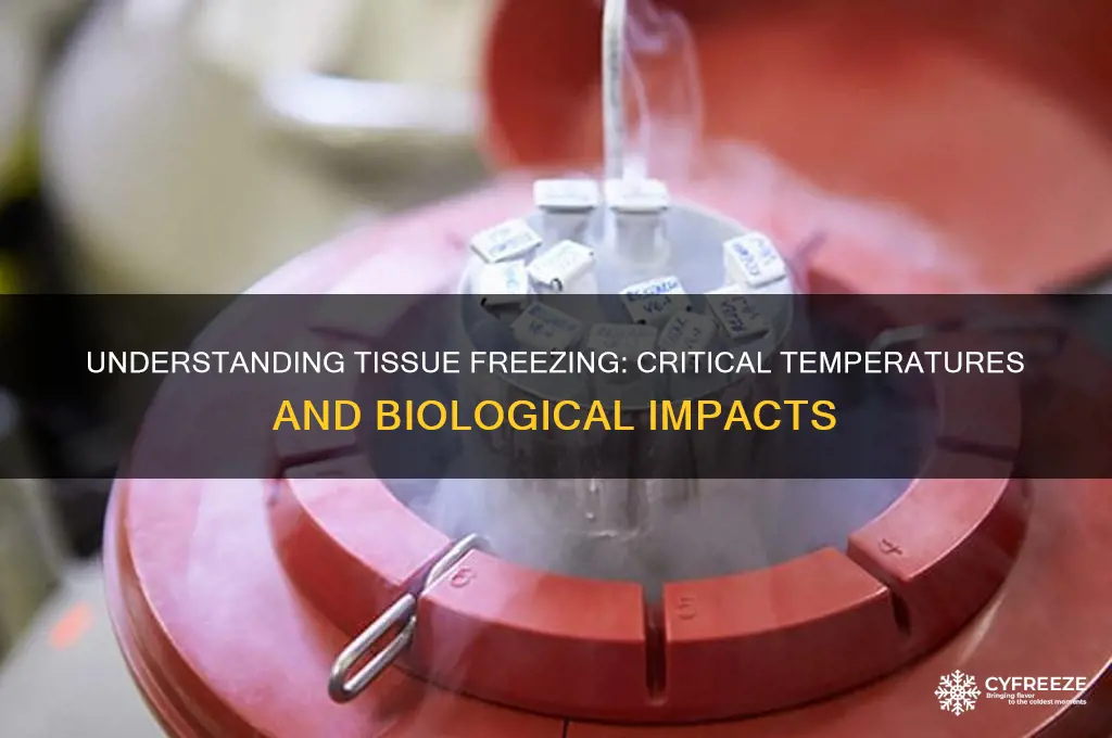 what temperature freezes tissue