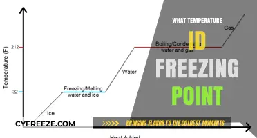 Understanding the Freezing Point: Temperature Thresholds for Water and Beyond