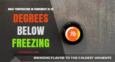 Chilling Facts: 28 Degrees Below Freezing in Fahrenheit Explained