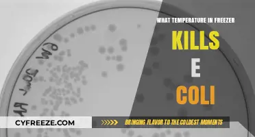 Freezer Temperatures to Eliminate E. Coli: Safe Storage Guide