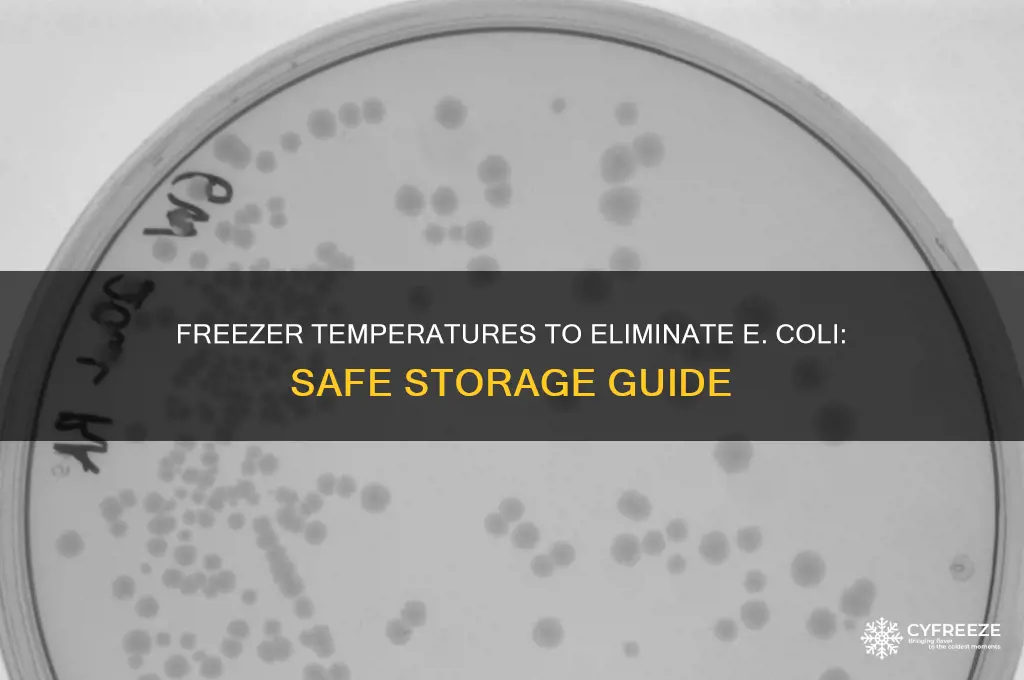 what temperature in freezer kills e coli
