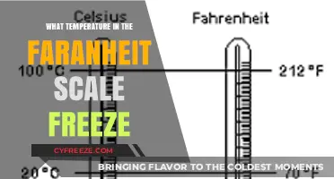 Understanding the Freezing Point in Fahrenheit: A Quick Guide