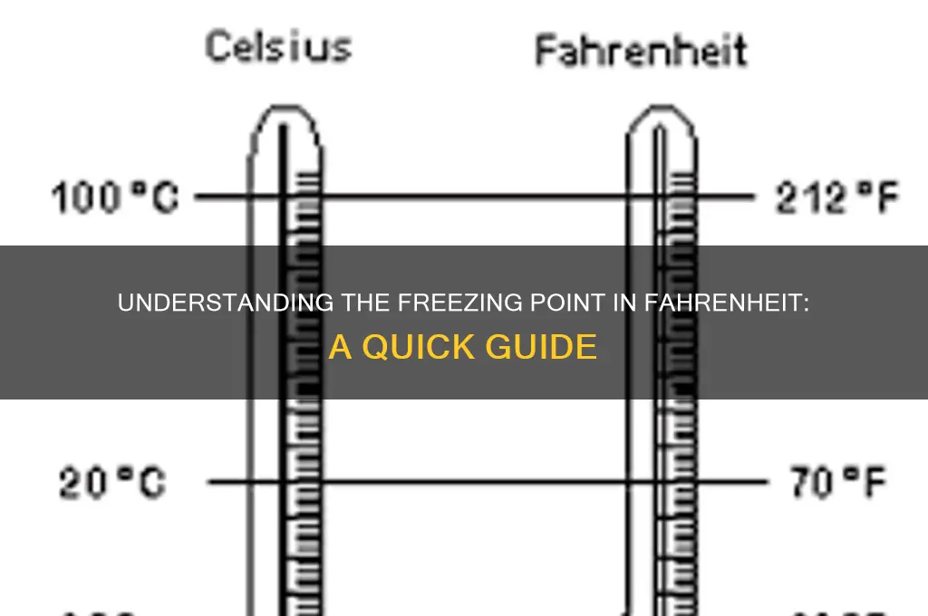 what temperature in the faranheit scale freeze