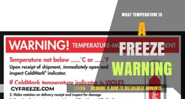 Understanding Freeze Warnings: What Temperature Triggers the Alert?