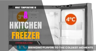 Ideal Kitchen Freezer Temperature: A Guide to Food Safety