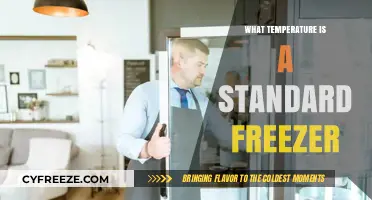 Ideal Freezer Temperature: What’s the Standard for Food Storage?