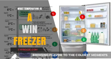 Ideal Win Freezer Temperature: A Guide to Optimal Food Storage