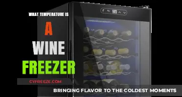 Ideal Wine Freezer Temperature: Preserving Your Collection Perfectly