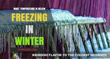 Winter's Chill: Understanding Below-Freezing Temperatures and Their Impact