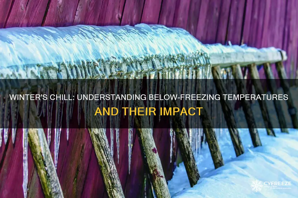 what temperature is below freezing in winter