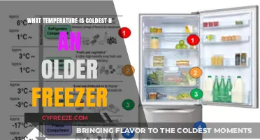 Chilling Truth: Coldest Temperature in Older Freezers Revealed