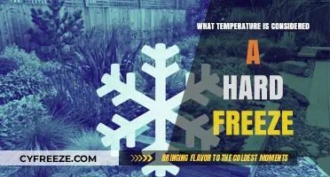 Understanding Hard Freeze Temperatures and Their Impact on Plants