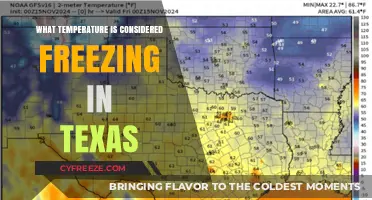 Texas Freezing Point: Understanding Cold Weather Thresholds in the Lone Star State