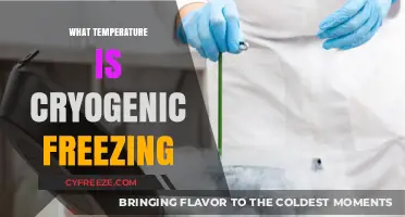 Understanding Cryogenic Freezing: What Temperature Does It Actually Reach?