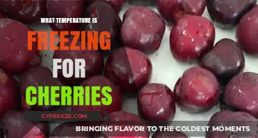 Freezing Cherries: Optimal Temperature Guide for Preserving Freshness