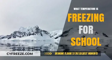 Understanding Freezing Temperatures: A Guide for Schools and Students
