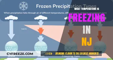 NJ Winter Chill: Understanding Freezing Temperatures in New Jersey