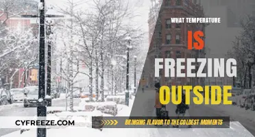Understanding Freezing Temperatures: When Does It Get Too Cold Outside?