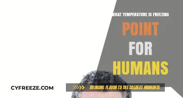 Human Freezing Point: Understanding the Critical Temperature Threshold