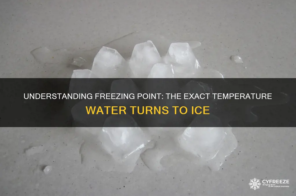 what temperature is freezing point