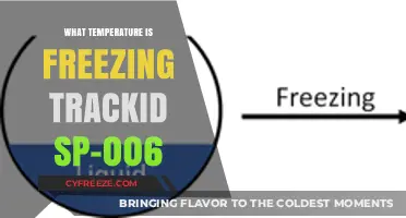Understanding Freezing Temperatures: TrackID SP-006 Explained in Detail
