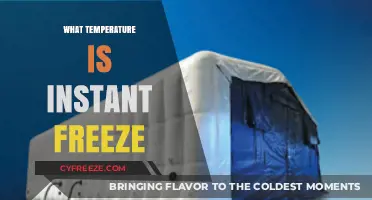 Instant Freeze Explained: Understanding the Temperature Threshold for Rapid Freezing
