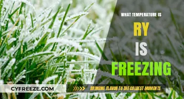 Understanding the Freezing Point of Rye: Temperature Insights and Tips