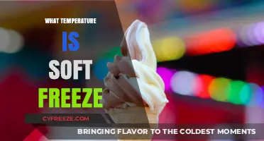 Understanding Soft Freeze: Ideal Temperature for Perfectly Soft-Serve Treats