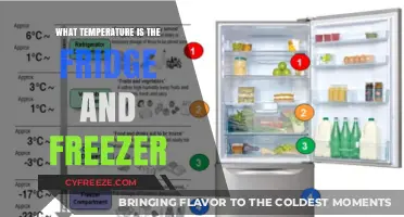Ideal Fridge and Freezer Temperatures for Food Safety and Freshness