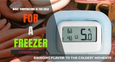 Freezer Temperature Guide: When Cold Becomes Too Cold for Food Safety