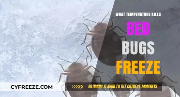 Freezing Bed Bugs: The Ultimate Temperature to Kill Them Effectively