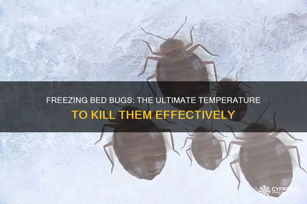 what temperature kills bed bugs freeze
