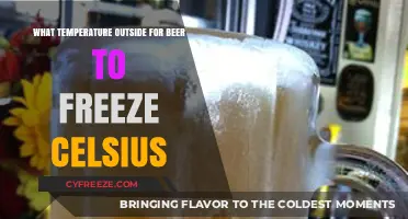 At What Celsius Temperature Does Beer Freeze Outside?
