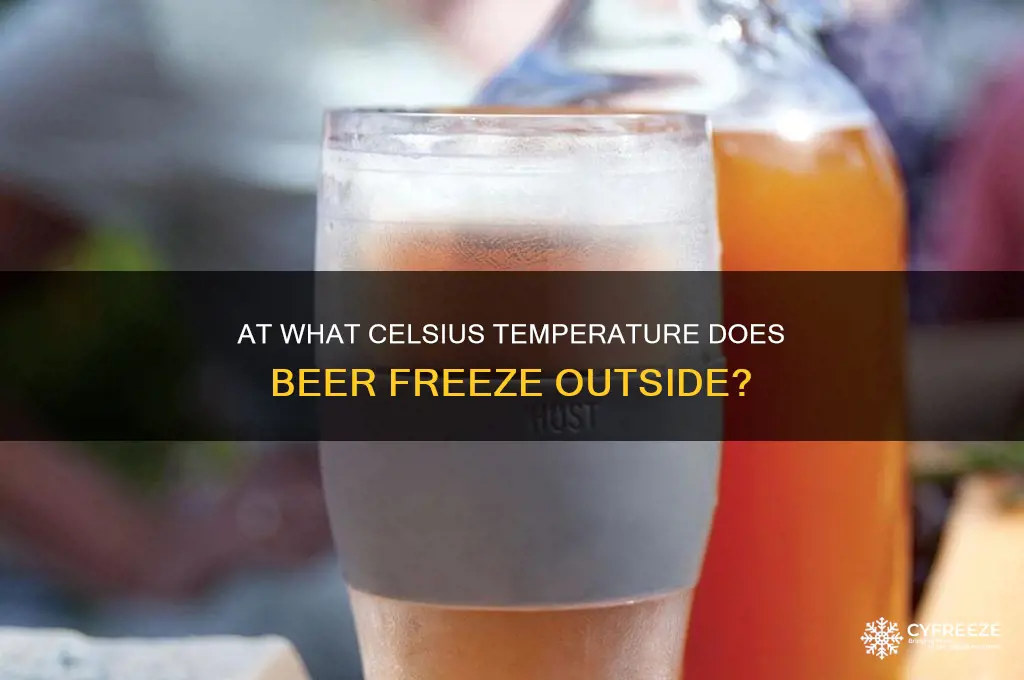what temperature outside for beer to freeze celsius